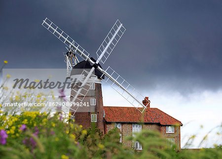 England, Norfolk, Weybourne. The windmill and wildflowers in stormy weather.