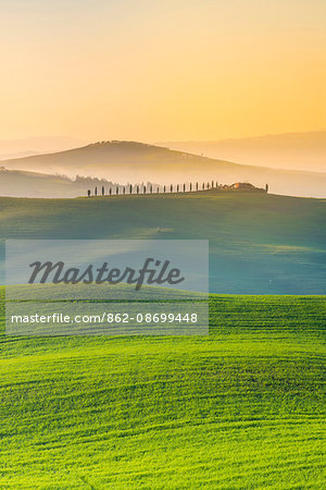 Valdorcia, Siena, Tuscany, Italy. Rolling hills at sunrise.