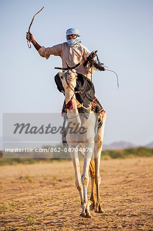 Niger, Agadez, Iferouane. A Tuareg races his camel sitting on a traditional camel saddle.