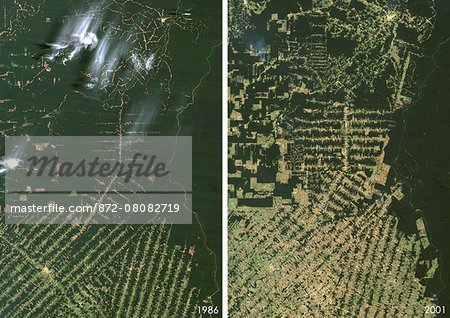 Satellite view of deforestation in East Rondonia, Brazil in 1986 and 2001. This before and after image shows deforestation impact over the years.