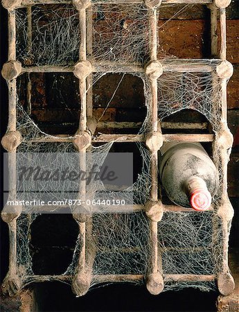 Wine Rack Covered with Cobwebs