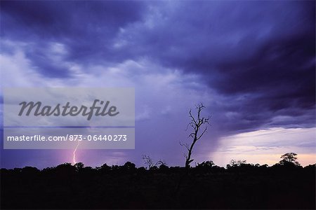 Lightning in Night Sky