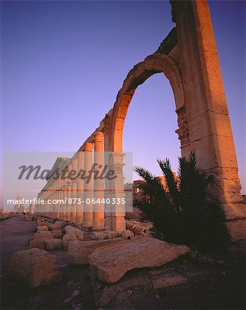 Columns in Desert Palmyra Ruins, Syria