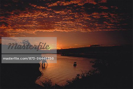 Sunset over Chobe River Botswana, South Africa