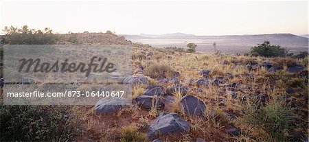 Landscape Near Cradock Mountain Zebra National Park Eastern Cape, South Africa