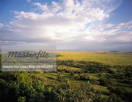 Landscape in the Serengeti, Tanzania