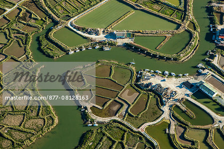 France, Western France, Charente-Maritime, Poitou-Charente, near Chaillevette , salt marsh, aerial view