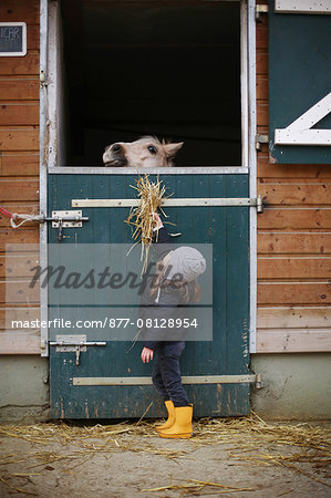 A little girl feeding a horse in a stable