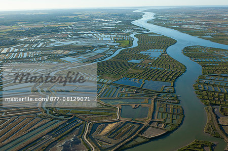 France,Charente-Maritime, Seudre salt marsh, aerial view