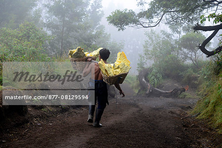 Sulfur mining industry in the Ijen volcano in East Java, Java island, Indonesia, South East Asia