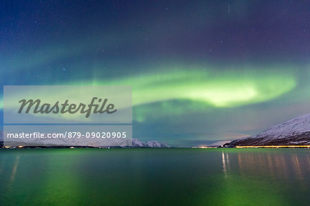 Northern lights over the fjord. Skivahollet, Kafjord, Lyngen Alps, Troms, Norway, Lapland, Europe.