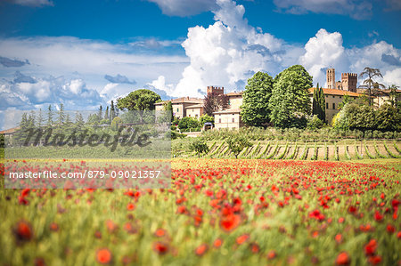 Typical, little village among Tuscany hills. Siena Contryside, Tuscany, Italy