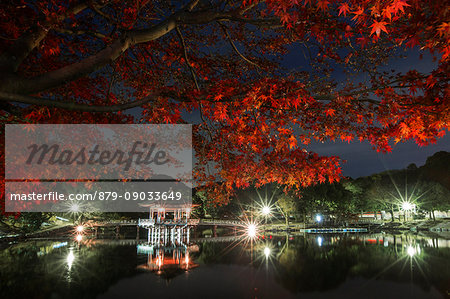 Nara, Ukimido gazebo, Japan