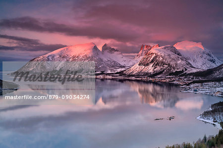 Pink sky and clouds on the snowy peaks reflected in cold sea at sunset Bergsbotn Senja Troms County Norway Europe