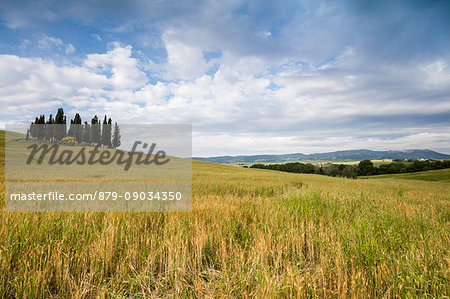 Clouds frame the gentle green hills of Val d'Orcia province of Siena Tuscany Italy Europe