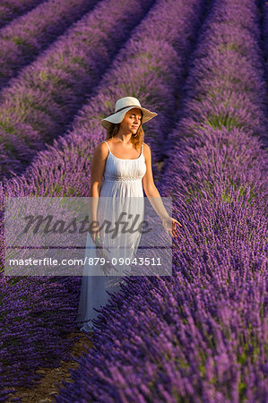 Woman with hat in a lavender field. Plateau de Valensole, Alpes-de-Haute-Provence, Provence-Alpes-Côte d'Azur, France, Europe.