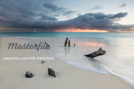 Caribbean sunset frames tree trunks on Ffryers Beach Antigua and Barbuda Leeward Islands West Indies