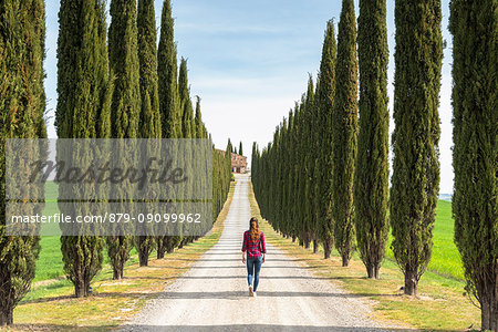 Castiglion d'Orcia, Orcia valley, Siena, Tuscany, Italy. A young woman in casual clothes is walking along a country road Castiglion d'Orcia, Orcia valley, Siena, Tuscany, Italy. A young woman in casual clothes is walking along a country road