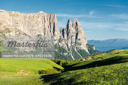 Alpe di Siusi/Seiser Alm, Dolomites, South Tyrol, Italy.