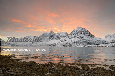 The sunrise on the beach by frozen sea and snowy peaks, Svensby, Lyngen Alps, Tromso, Norway, Europe The sunrise on the beach by frozen sea and snowy peaks, Svensby, Lyngen Alps, Tromso, Norway, Europe