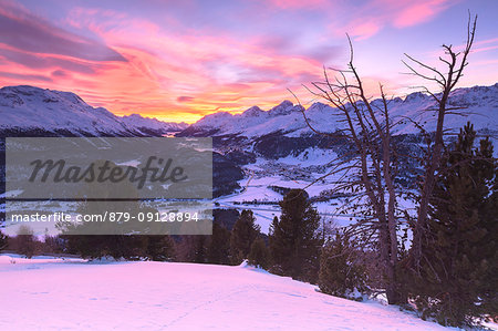 Sunset above Engadine with Celerina village in foreground. Engadine, Graubünden, Switzerland.