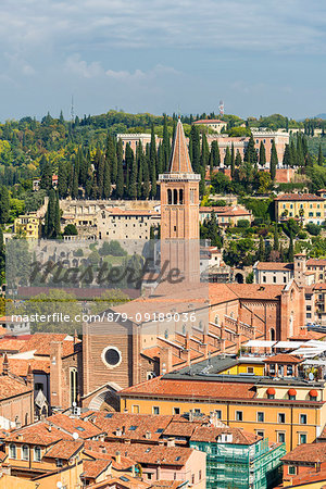 High angle view of Sant'Anastasia cathedral. Verona, Veneto, Italy