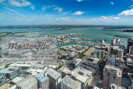 View of the city harbour and bridge from Sky Tower. Auckland City, Auckland region, North Island, New Zealand.