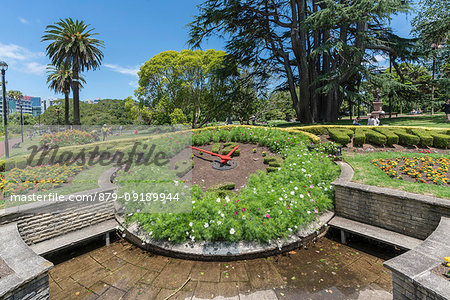 Floral clock in Albert Park. Auckland City, Auckland region, North Island, New Zealand.