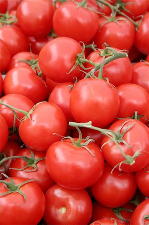 sin pesticida - A close look at vine ripe tomatoes. Foto de stock - Super Valor sin royalties y Suscripción, Código: 400-04004097
