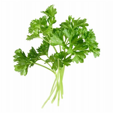 simsearch:400-04062145,k - a few sprigs of parsley, isolated Stock Photo - Budget Royalty-Free & Subscription, Code: 400-04004273
