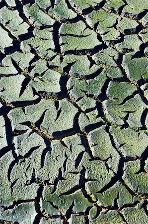 parched - Green cracked mud resulting from sewer sedimentation Stock Photo - Budget Royalty-Free & Subscription, Code: 400-04004605