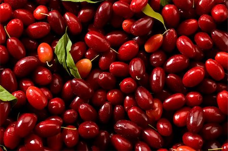 Cornelian cherries, background of nature with liaves Stock Photo - Budget Royalty-Free & Subscription, Code: 400-04007502