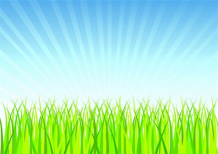 simsearch:400-05731622,k - Fresh Spring Grass Vector illustration. Stock Photo - Budget Royalty-Free & Subscription, Code: 400-04008352