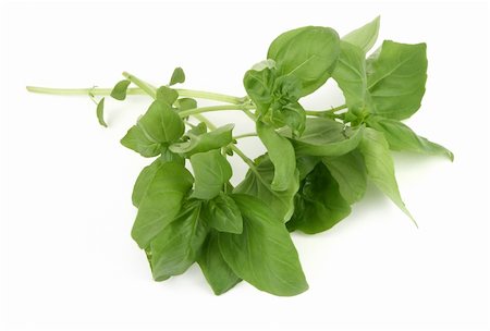 simsearch:400-04418942,k - basil leaves on white background, natural shadow underneath Stockbilder - Microstock & Abonnement, Bildnummer: 400-04000179