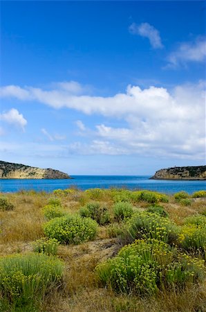 Beautiful blue bay with green bushes in the dunes Stock Photo - Budget Royalty-Free & Subscription, Code: 400-04000426
