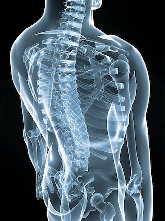 simsearch:400-05715953,k - 3d rendered anatomy illustration of a human skeletal back Stock Photo - Budget Royalty-Free & Subscription, Code: 400-04000805