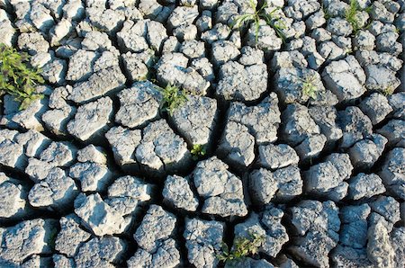 dry swamps - environment devastation background: cracked extremely dried ground Stock Photo - Budget Royalty-Free & Subscription, Code: 400-04000905