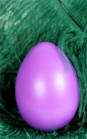 Easter egg and feathers Stock Photo - Budget Royalty-Free & Subscription, Code: 400-04001325
