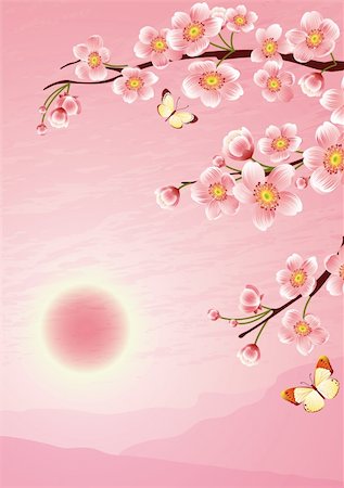 simsearch:400-04778102,k - Vector illustration -  cherry blossom Fotografie stock - Microstock e Abbonamento, Codice: 400-04001332