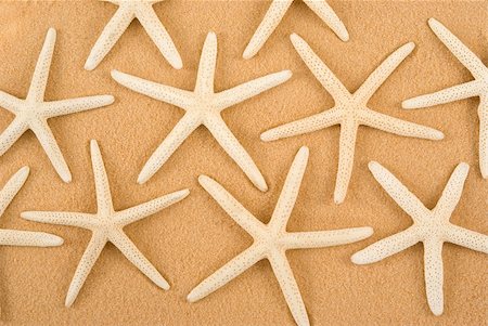 simsearch:600-01787545,k - Starfish on golden sand Stock Photo - Budget Royalty-Free & Subscription, Code: 400-04001937