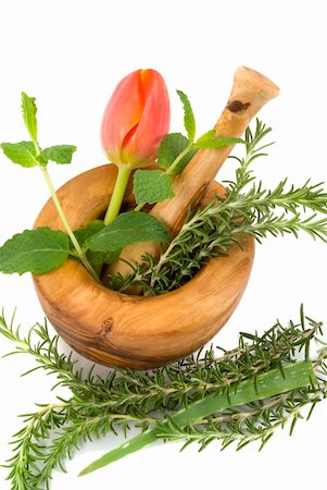simsearch:400-04544414,k - Healing herbs and tulip on white background (handcarved olive tree mortar and pestle) Stock Photo - Budget Royalty-Free & Subscription, Code: 400-04001939