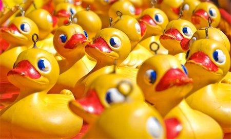 simsearch:400-04240306,k - rubber ducky you are the one or two or few hundred Stock Photo - Budget Royalty-Free & Subscription, Code: 400-04002330