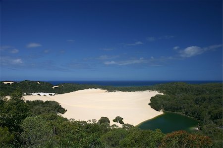 simsearch:400-04059397,k - Dune in the middle of the rain forest, with a small green lake (Fraser Island, Australia) Photographie de stock - Aubaine LD & Abonnement, Code: 400-04002990
