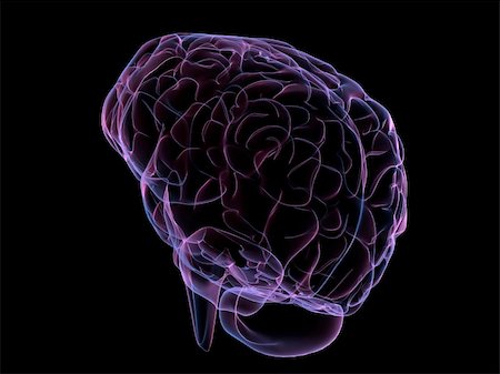 subconscious - 3d rendered anatomy illustration of a human brain Stock Photo - Budget Royalty-Free & Subscription, Code: 400-04003521