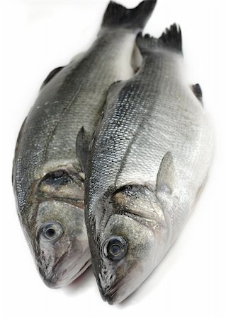 two fresh sea bass Foto de stock - Royalty-Free Super Valor e Assinatura, Número: 400-04003695