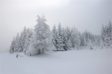 simsearch:400-05026123,k - winter landscape with fog and mist Photographie de stock - Aubaine LD & Abonnement, Code: 400-04003944