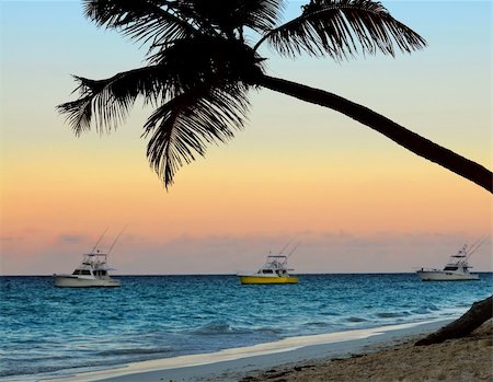 dominican republic beaches sunset - Palm tree and fishing boats at tropical beach at sunset. Focus on palm tree. Stock Photo - Budget Royalty-Free & Subscription, Code: 400-04014637