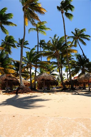 simsearch:400-05676017,k - Tropical beach with palm trees and umbrellas on Caribbean island Foto de stock - Super Valor sin royalties y Suscripción, Código: 400-04014681