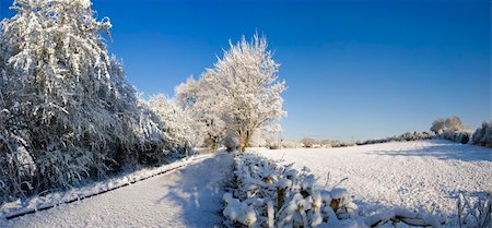 A snow covered rural landscape in the countryside Photographie de stock - Aubaine LD & Abonnement, Code: 400-04015477