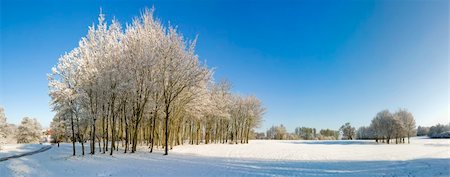 A snow covered rural landscape in the countryside Photographie de stock - Aubaine LD & Abonnement, Code: 400-04015481